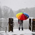 anastasia-yilmaz-555158-unsplash anastasia-yilmaz-555158-unsplash